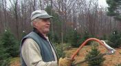 9. Christmas Trees; Caulking a Window