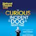 National Theatre Live: The Curious Incident of the Dog in the Night-Time