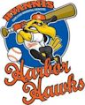 Hyannis Harbor Hawks