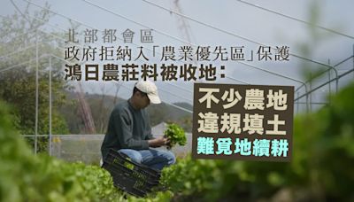 北部都會區｜政府拒納入「農業優先區」保護 鴻日農莊料被收地：不少農地違規填土 難覓地續耕｜Yahoo