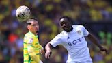 Leeds vs Norwich: Championship play-off prediction, kick-off time, TV, live stream, team news, h2h, odds today