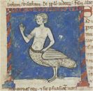 Sirene