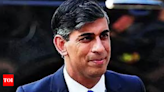 Farage's campaigner uses racial slur for Sunak; PM says he's 'hurt, angry' - Times of India