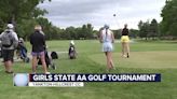 Meyerink wins the AA title, SF Christian wins 4th straight and freshman Brynn Roerich wins State B Golf Tournament