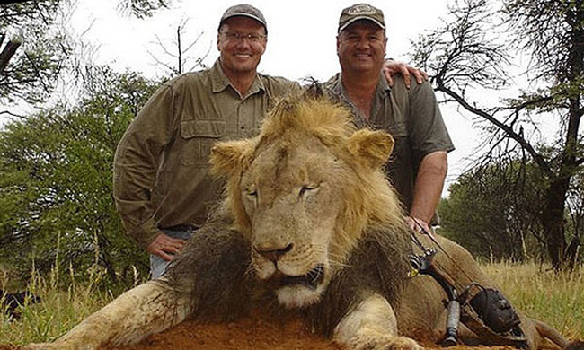 cecil-lion-killed.jpg