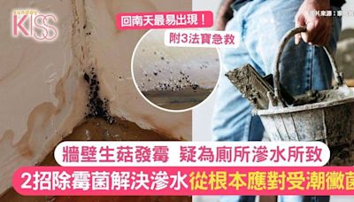 房間牆壁生菇發霉疑為廁所滲水所致！2大除霉菌方法解決滲水問題