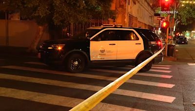 Man shot, killed after interrupting theft of catalytic converter from his vehicle in downtown LA
