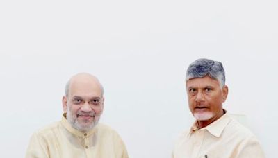 Chandrababu Naidu Seeks More Funds For Andhra In Meeting With Amit Shah: Report