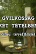 Gyilkosság két tételben