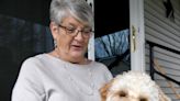 Puppy 'Ponzi scheme.' Former clients accuse Ohio dog breeder of bilking them of thousands