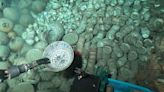 Archaeologists Uncover 900 Ming Dynasty Artifacts From Shipwrecks in South China Sea