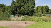Pensioner dies after challenging 'intruders' at allotments