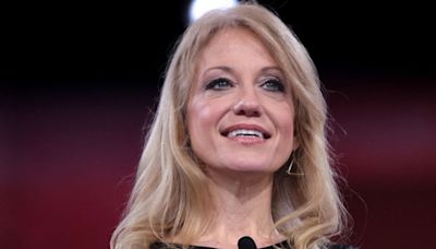 Fox Business host and Kellyanne Conway beg Trump: 'Less insults, more insights'