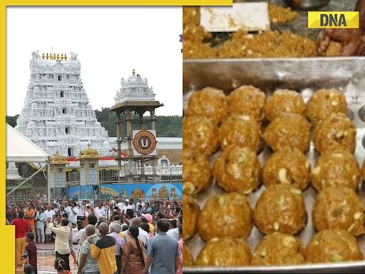 DNA TV Show: Is Tirupati laddus case being used for political gains?