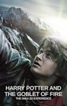 Harry Potter and the Goblet of Fire (film)