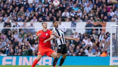 Newcastle vs Brighton: How to watch live, stream link, team news