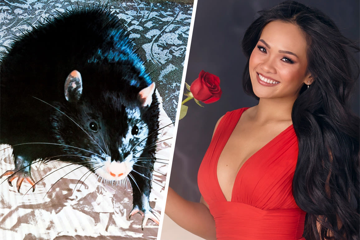Were rats scurrying across the screen in 'The Bachelorette' Season 21 premiere? A Decider Investigation