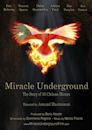 Miracle Underground - IMDb