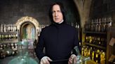 Alan Rickman's Diary Reveals Why He Kept Harry Potter Role Through Hard Times: 'It's Your Story'