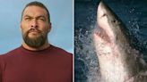 Jason Momoa Conducts Orchestra of High-Flying Great White Sharks to Celebrate Shark Week 2023 (Exclusive)