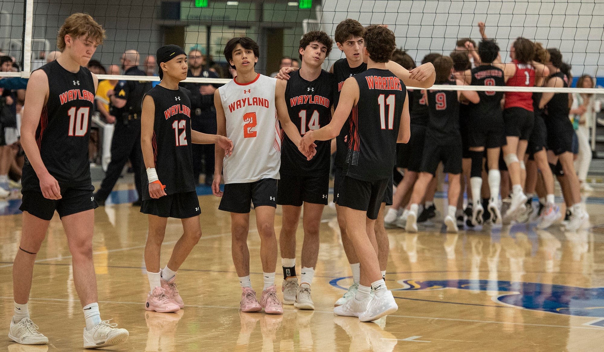 Wayland boys volleyball sniffs state title but falls to Westfield in five sets at Worcester State