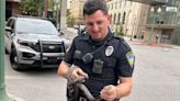 Watch: 'Grumpy' snake rescued from rush hour traffic in West Virginia