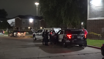 'PIZZA DELIVERY GONE WRONG' Driver shoots, kills customer at Houston apartments