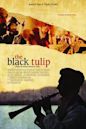 The Black Tulip (2010 film)