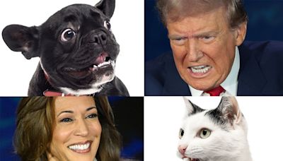 The 2024 Election Is Officially the Pet Election. It’s Not Cute.