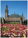 Peace Palace Library