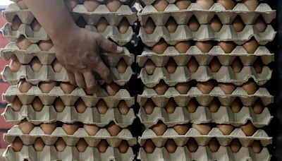 MCA chief suggests egg price cut could backfire on government