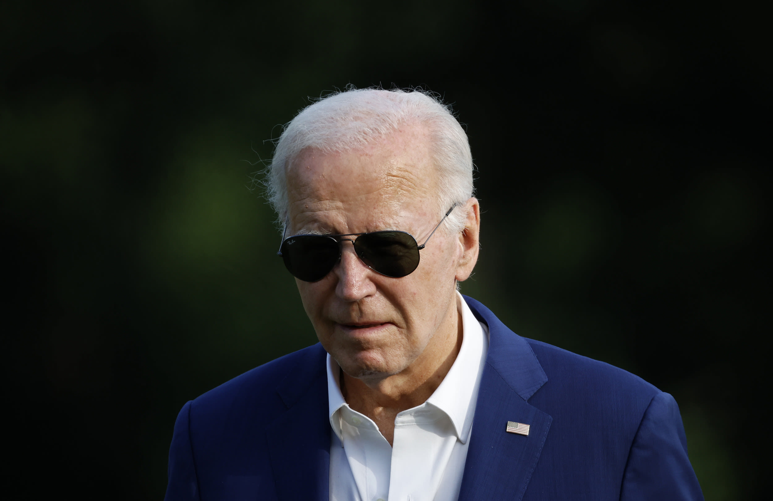 It's the Polls, Stupid. Democrats Must Dump Joe Biden or Lose | Opinion