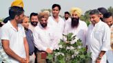 Agri Minister continues visit to Narma cotton belt