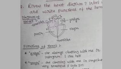 Student Dedicates Four Chambers Of His Heart Diagram To His Crush, Internet Reacts - News18