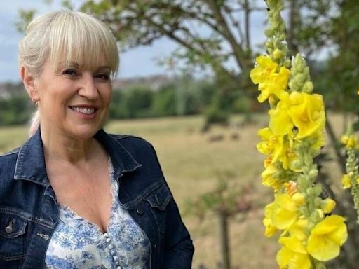 BBC Escape to the Country's Nicki Chapman's life off screen with husband