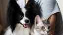 The fuzzy science on whether your pet is actually good for you