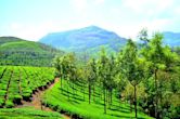 Munnar