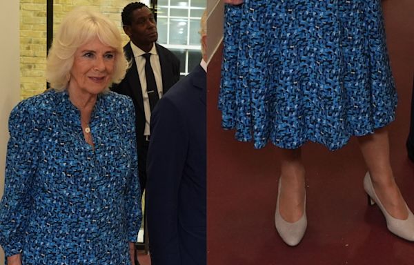 Queen Camilla Shines in Kitten Heels and Printed Dress at RADA Appearance in London