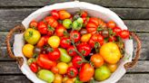 7 Smart Ways to Preserve Tomatoes