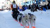 圖輯／橫跨逾1600公里路程 阿拉斯加雪橇犬大賽登場