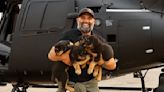 Moment Rottweiler puppies run wild in rescue helicopter