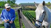 For ex-Derby winner Silver Charm, it's a life of leisure and Old Friends at Kentucky retirement farm