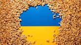 Turkey says it is probing claims Russia stole Ukrainian grain