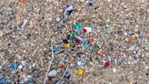 Scientists discover unusual method to help in the fight against plastic: ‘Our data contribute to a better understanding’