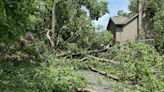 Was it a tornado? NJ neighborhoods left without power, road access