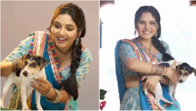 Vasudha Episode TWIST: Meet Vasu’s Best Friend Gulki, The Talking Dog On Zee TV Show - DEETS