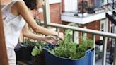 How to Grow a Garden When You Don't Have a Backyard