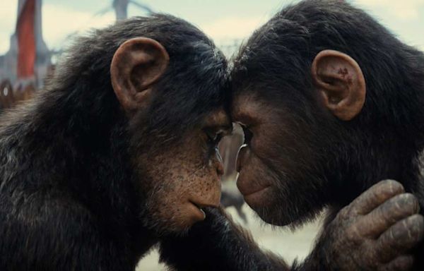 Kingdom of the Planet of the Apes First Reactions: “Phenomenal”, “Astonishing” and “Very Entertaining”