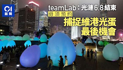 維港teamLab｜展覽今結束 毋須預約 把握最後與發光蛋打卡機會