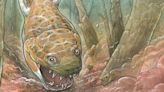 Giant fanged salamander haunted swamps 280 million years ago